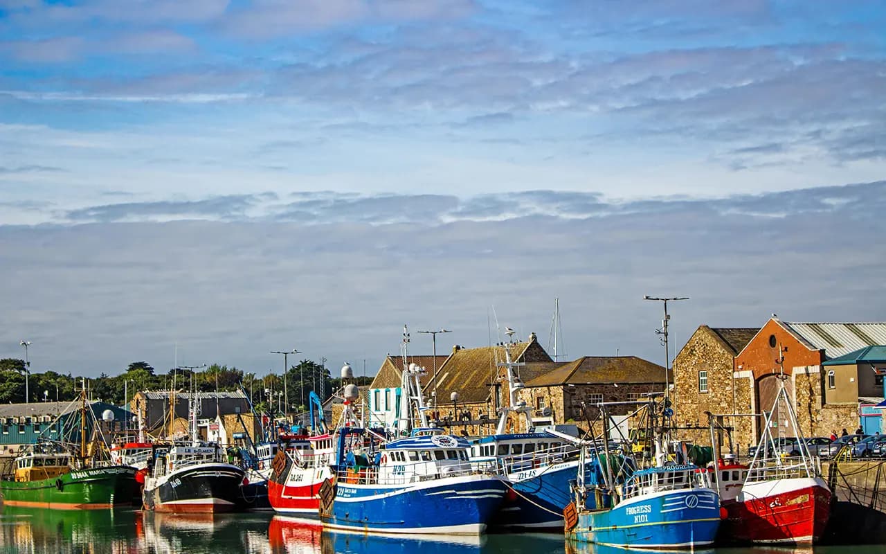 Private full day Tour "Explore the city & Countryside"