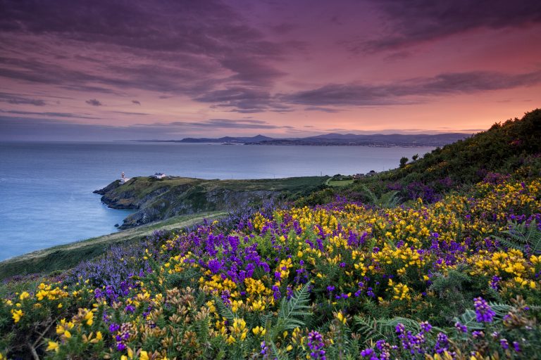 Spectacular coastal scenery along Ireland's Ancient East with Day Tours Unplugged